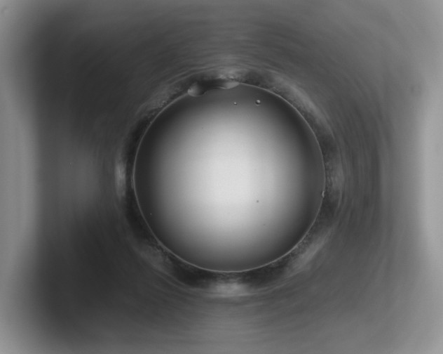 X0000102510262200808081416