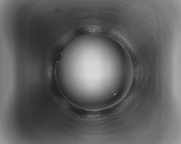 X0000102510263200808081416