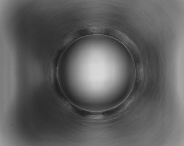 X0000102510266200808081416
