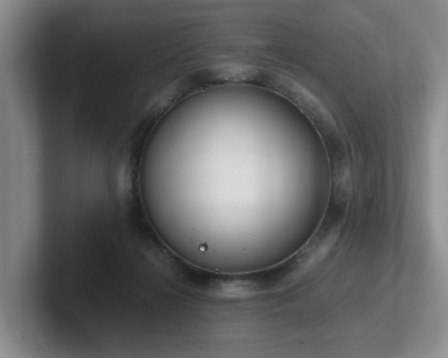 X0000102510268200808081416