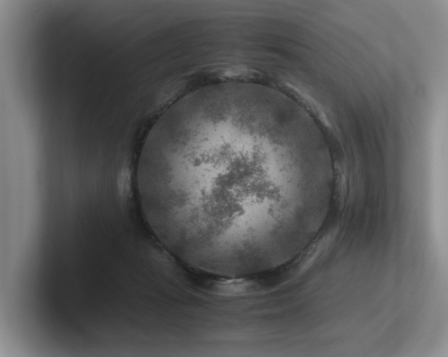 X0000102510269200808081416