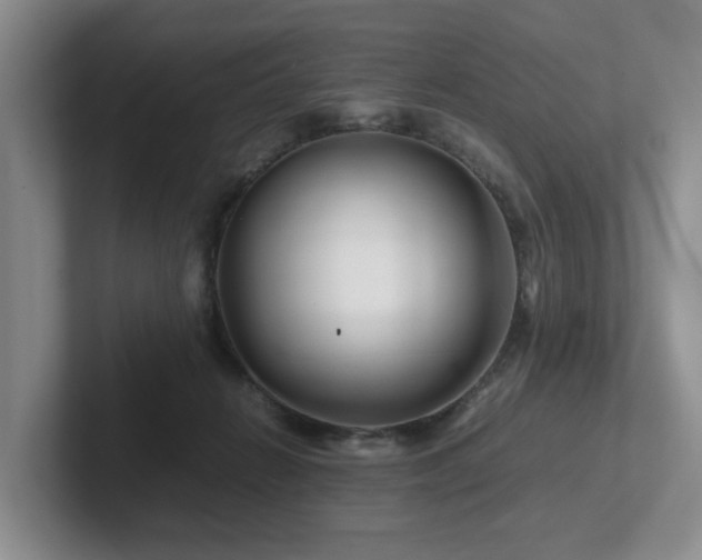 X0000102510270200808081416