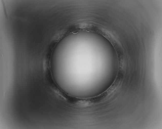 X0000102510272200808081416