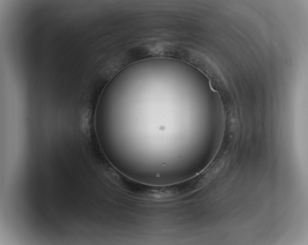 X0000102510275200808081416