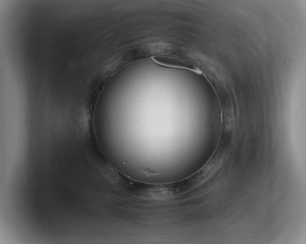 X0000102510279200808081416