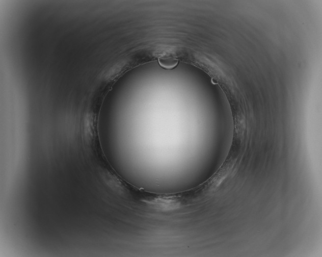 X0000102510280200808081416