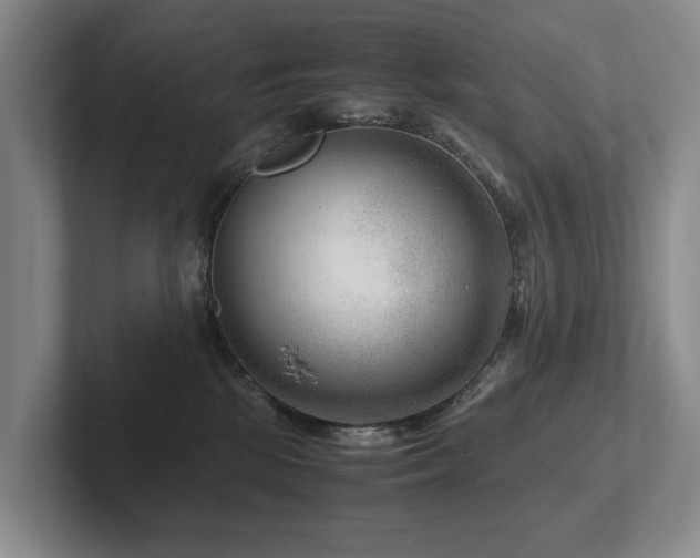 X0000102510281200808081416