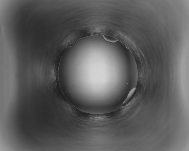 X0000102510282200808081416