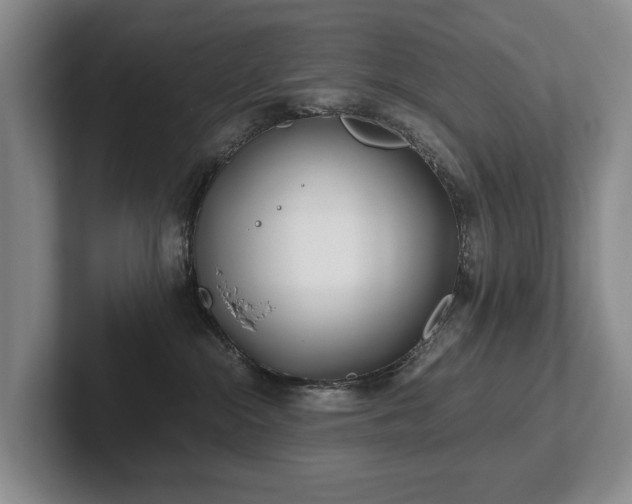 X0000102510284200808081416