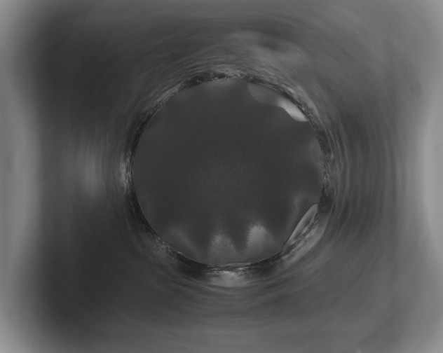 X0000102510285200808081416