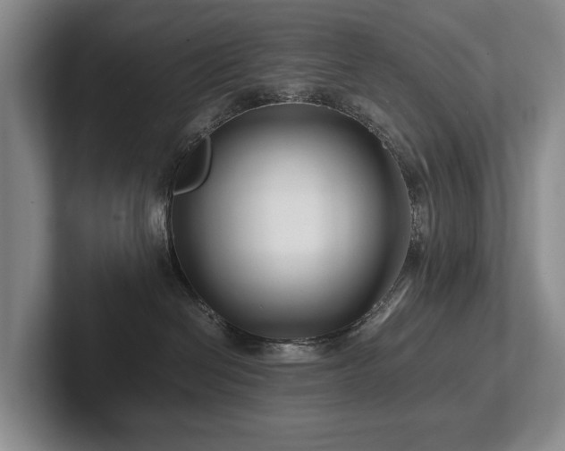 X0000102510286200808081416