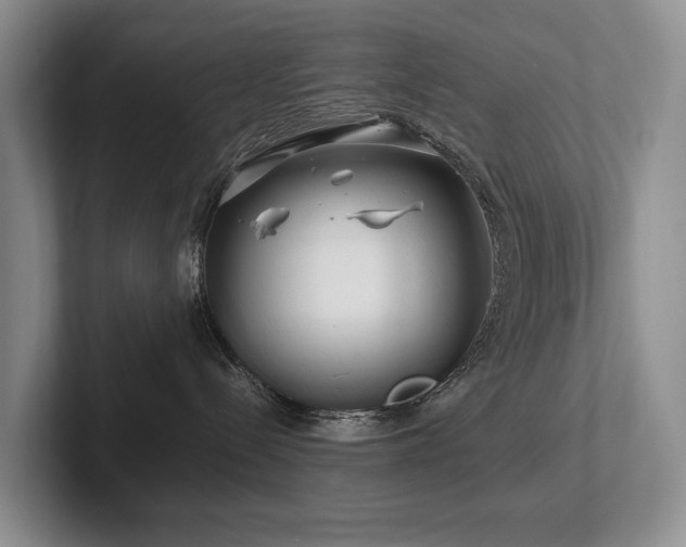 X0000102510288200808081416