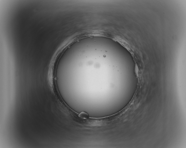 X0000102510293200808081416