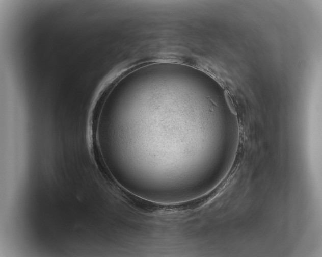 X0000102510294200808081416