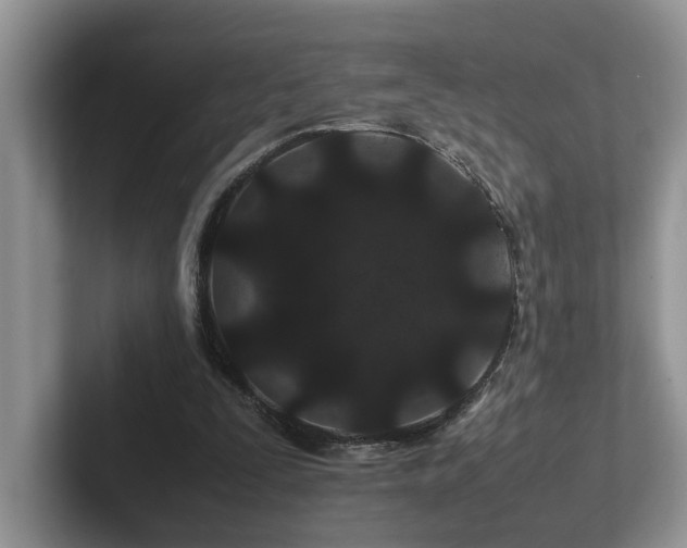 X0000102510295200808081416