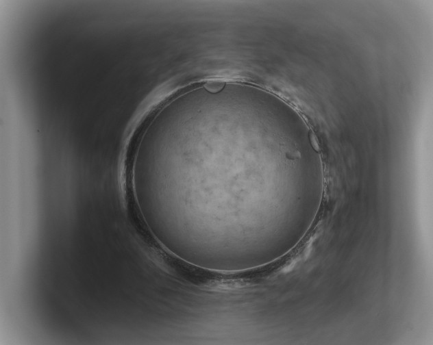 X0000102510296200808081416