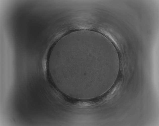 X0000102510299200808081415