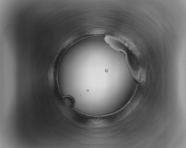 X0000102510300200808081415