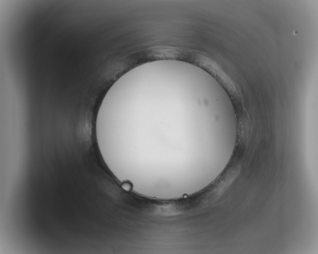 X0000102510309200808081415