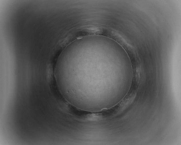 X0000102510320200808081415