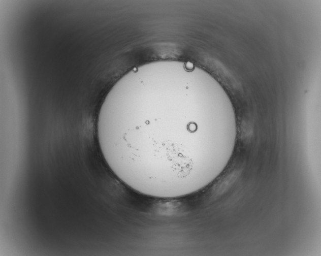X0000102510321200808081415