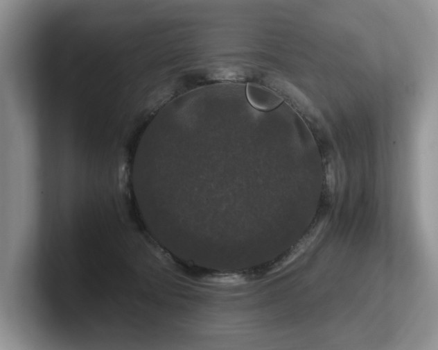X0000102510322200808081415
