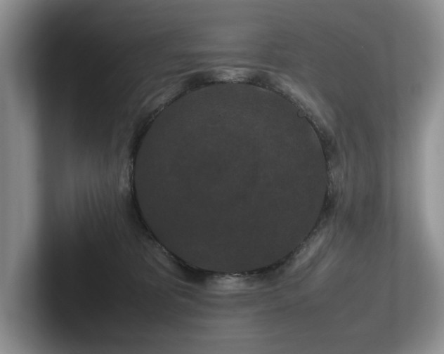 X0000102510325200808081415