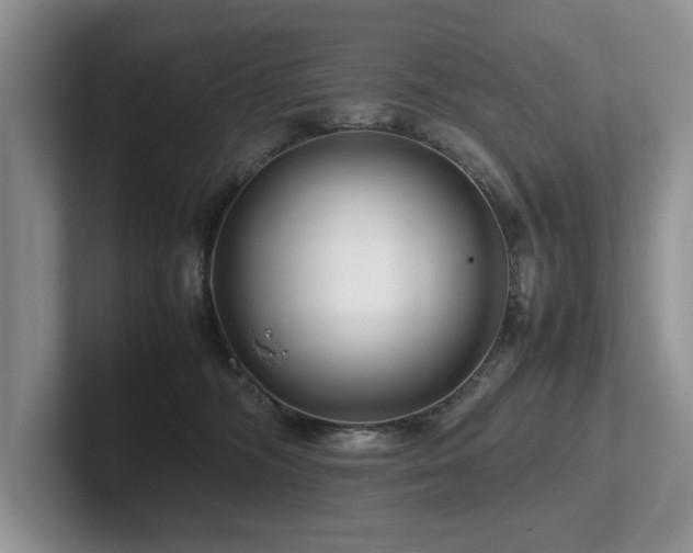 X0000102510326200808081415