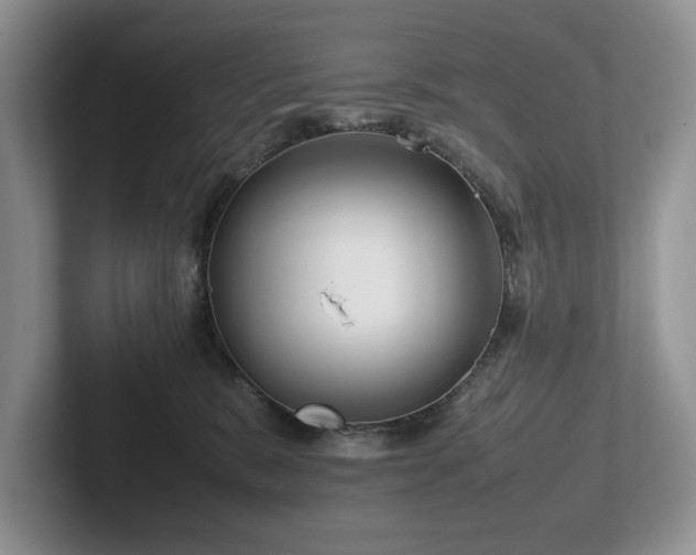 X0000102510327200808081415