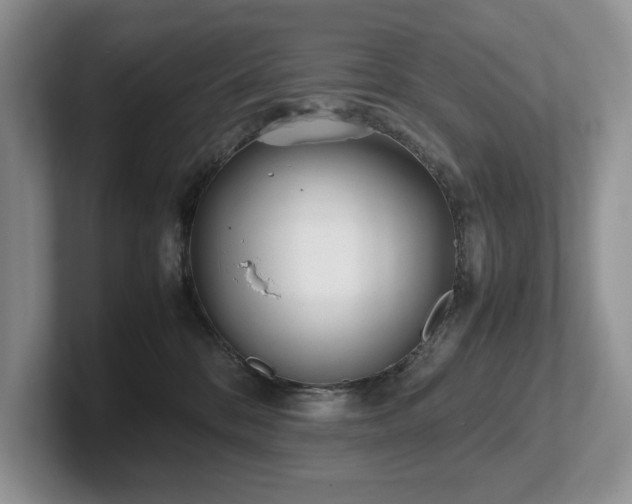 X0000102510328200808081415