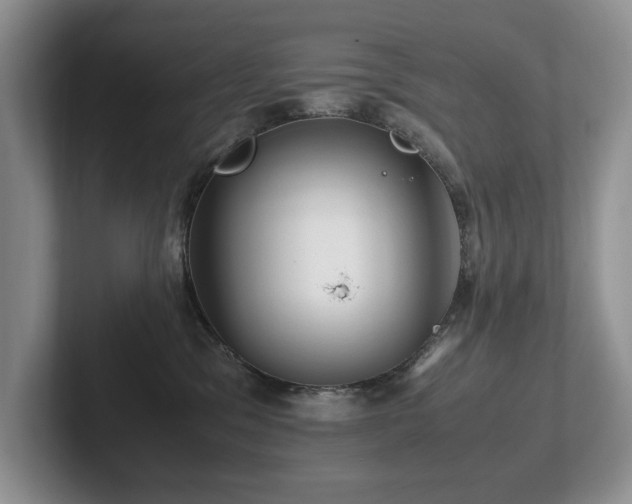 X0000102510329200808081415