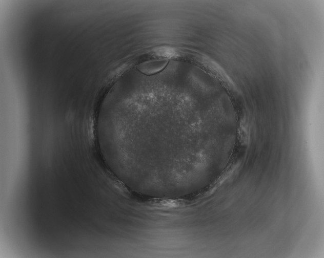 X0000102510330200808081415