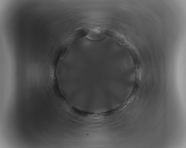 X0000102510331200808081415