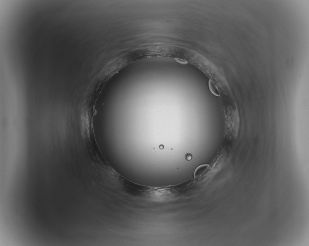 X0000102510333200808081415