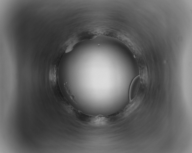 X0000102510334200808081415