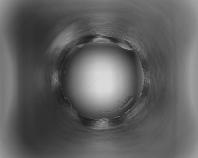 X0000102510335200808081415
