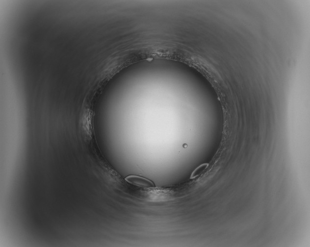 X0000102510336200808081415