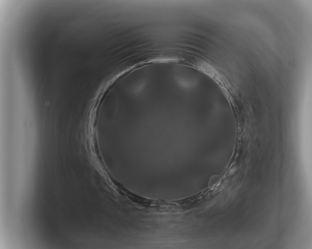 X0000102510337200808081414