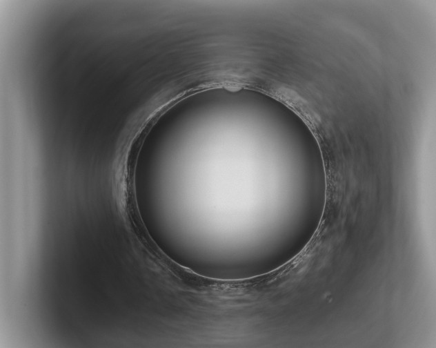 X0000102510338200808081414