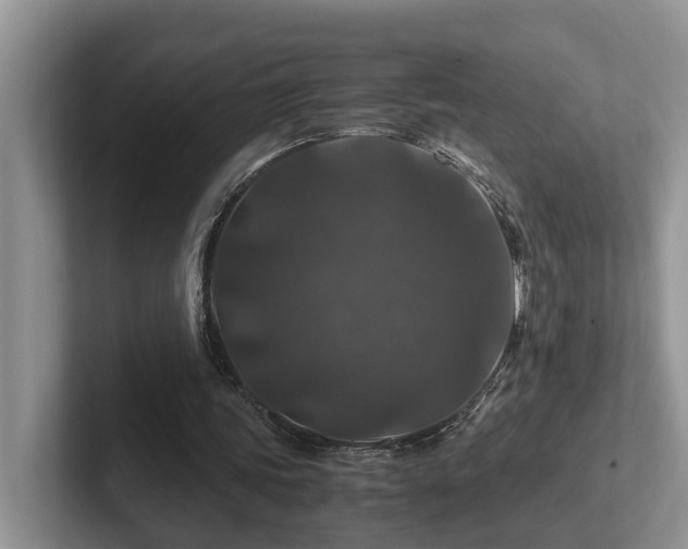 X0000102510339200808081414