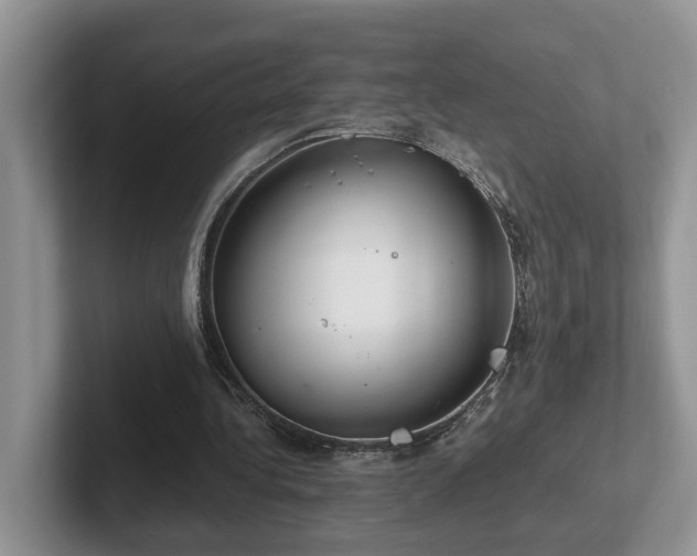 X0000102510340200808081414