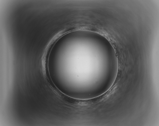 X0000102510341200808081414