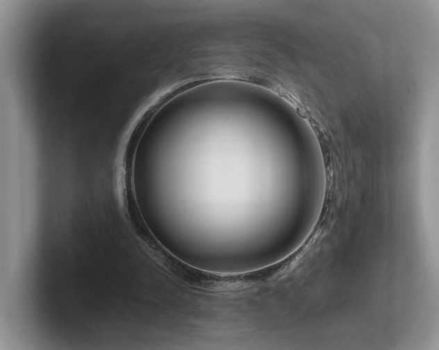 X0000102510342200808081414