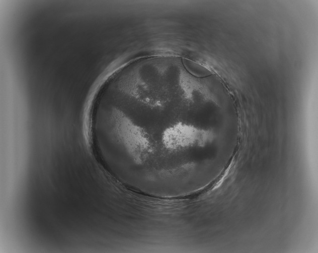 X0000102510343200808081414