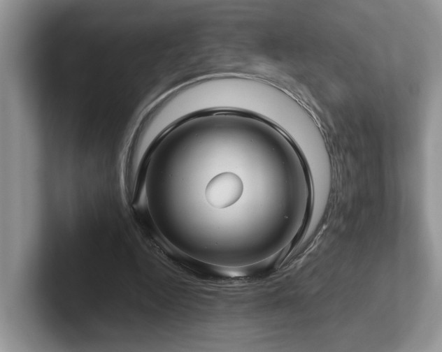 X0000102510344200808081414