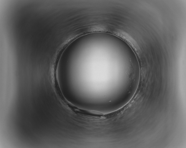 X0000102510345200808081414