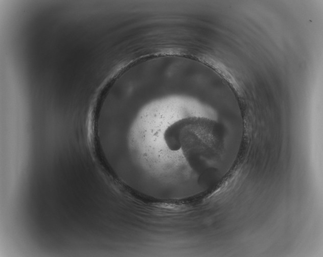 X0000102510347200808081415