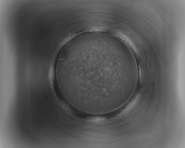 X0000102510348200808081415