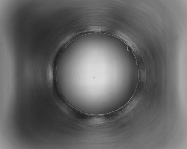 X0000102510350200808081415