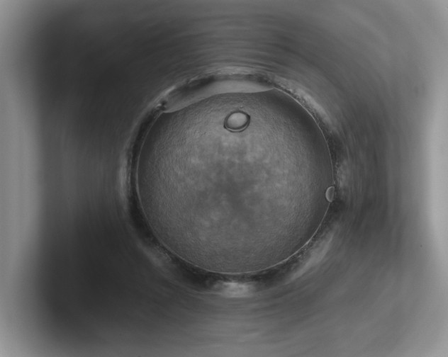 X0000102510352200808081415